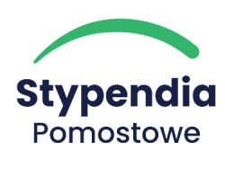 Logo PSP full color